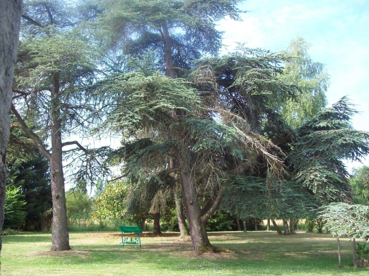 Grignols  Chateau Le Guit מראה חיצוני תמונה